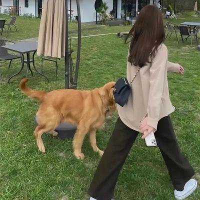 披著丝绸的魔鬼